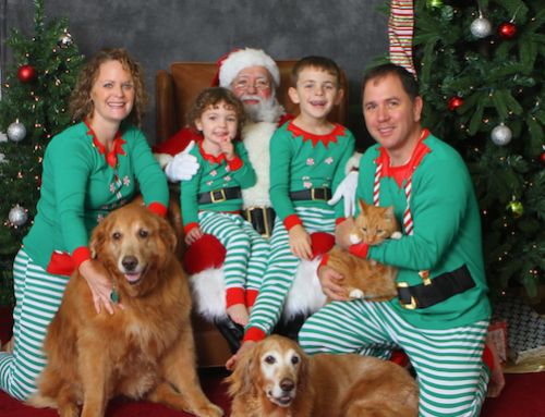 Pet Photos with Santa