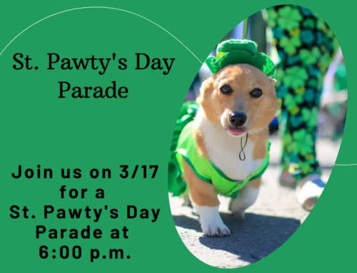 St. Pawty’s Day Parade