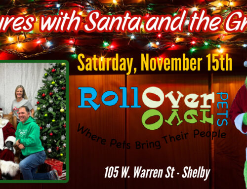 Pet Photos with Santa & the Grinch