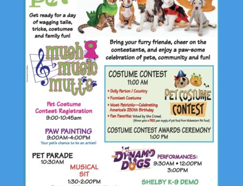 Pet Costume Contest
